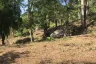 Land for sale in 