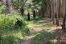 Land for sale in Ko Yao Yai, Phang Nga