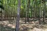Land for sale in Ko Yao Yai, Phang Nga