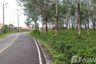 Land for sale in Si Sunthon, Phuket