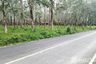 Land for sale in Si Sunthon, Phuket