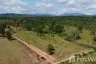 Land for sale in San Maha Phon, Chiang Mai