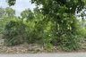 Land for sale in Makhun Wan, Chiang Mai