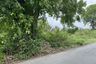 Land for sale in Makhun Wan, Chiang Mai