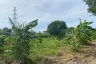 Land for sale in Nong Prue, Chonburi