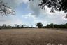 Land for sale in Nong Prue, Chonburi