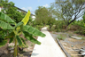 Land for sale in Suan Luang, Bangkok