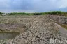 Land for sale in Bang Sao Thong, Samut Prakan