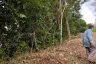 Land for sale in Lo Yung, Phang Nga