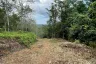 Land for sale in Lo Yung, Phang Nga