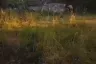 Land for sale in Hin Lek Fai, Prachuap Khiri Khan