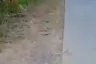 Land for sale in Hin Lek Fai, Prachuap Khiri Khan
