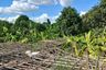 Land for sale in Bang Ramat, Bangkok