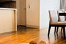 3 Bedroom Apartment for rent in Royal Residence Park, Lumpini, Bangkok near BTS Ratchadamri