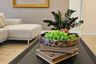 2 Bedroom Apartment for rent in Ploenruedee Residence, Lumpini, Bangkok near BTS Ploen Chit