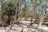 Land for sale in Rawai, Phuket