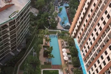 1 Bedroom Condo for rent in Nong Prue, Chonburi