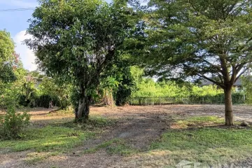 Land for sale in San Klang, Chiang Mai