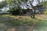 Land for sale in San Klang, Chiang Mai