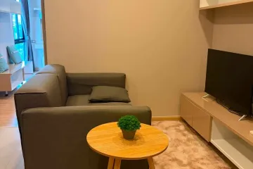 1 Bedroom Condo for rent in The ACE Ekamai, Khlong Tan Nuea, Bangkok near BTS Ekkamai