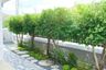 3 Bedroom House for sale in San Pu Loei, Chiang Mai
