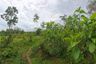 Land for sale in Thep Krasatti, Phuket