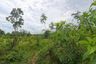 Land for sale in Thep Krasatti, Phuket