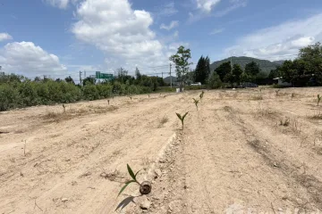 Land for sale in Cha am, Phetchaburi