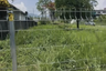 Land for sale in Rim Tai, Chiang Mai