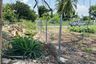 Land for sale in Rim Tai, Chiang Mai