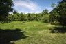 Land for sale in Pak Nam Pran, Prachuap Khiri Khan