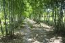 Land for sale in Pak Nam Pran, Prachuap Khiri Khan