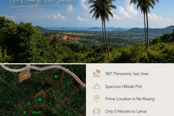 Land for sale in Na Mueang, Surat Thani