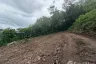 Land for sale in Na Mueang, Surat Thani