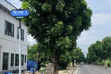 Land for sale in Bang Phrom, Bangkok