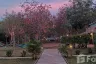 8 Bedroom Hotel / Resort for sale in Sala Dan, Krabi