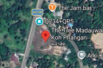 Land for sale in Ko Pha-ngan, Surat Thani