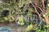 4 Bedroom House for Sale or Rent in Bangkok Boulevard Donmueang Chaengwattana, Si Kan, Bangkok