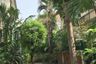 3 Bedroom House for sale in Vararom Prachauthit 98, Thung Khru, Bangkok