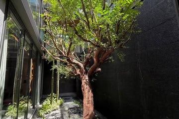5 Bedroom House for sale in Sonle Residences, Wong Sawang, Bangkok near MRT Wong Sawang