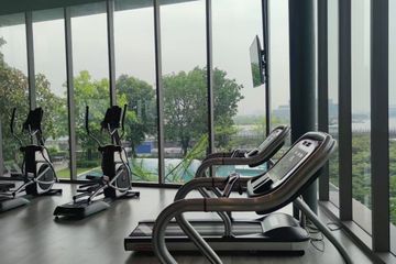 1 Bedroom Condo for rent in 333 Riverside, Bang Sue, Bangkok near MRT Bang Pho