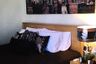 2 Bedroom Condo for rent in Park Origin Phrom Phong, Khlong Tan, Bangkok near BTS Phrom Phong