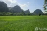 Land for sale in Cha am, Phetchaburi