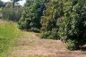 Land for sale in Tha Wang Tan, Chiang Mai