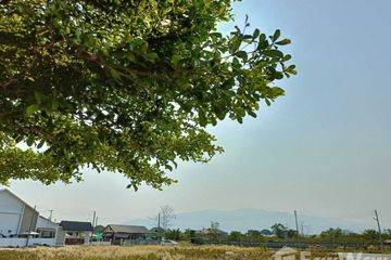 Land for sale in Cattleya Village, Nong Chom, Chiang Mai