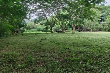 Land for sale in Mae Hia, Chiang Mai