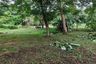 Land for sale in Mae Hia, Chiang Mai