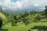 Land for sale in Ban Pong, Chiang Mai