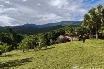 Land for sale in Ban Pong, Chiang Mai