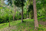 Land for sale in Santi Thani, Mae Nam, Surat Thani